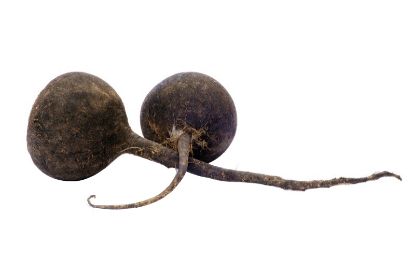 Image de Radis rouge