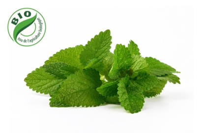 Image de Menthe Poivrée