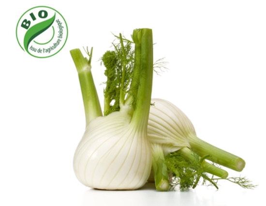 Image de Mini fenouil
