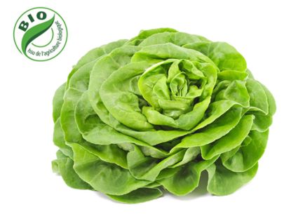 Image de Salade sucrine