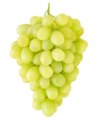 Image de Raisin blanc-sans Pépins