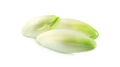Image de Endives - Import