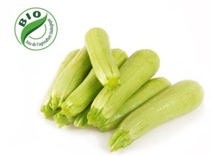 Image de Courgette Blanche