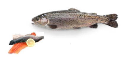 Image de Truite - Filet désarêté