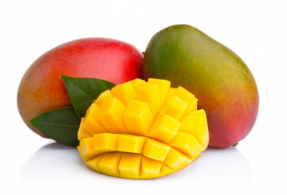 Image de Mangue