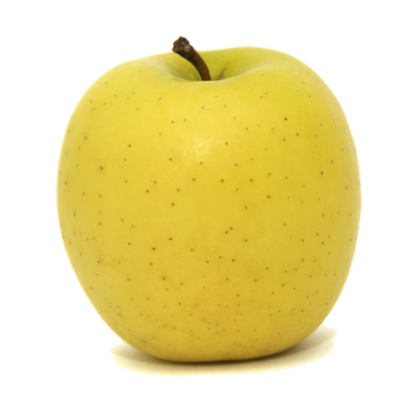 Image de Pomme golden import