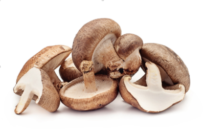 Image de Champignon Portobello - Import