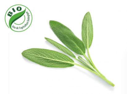 Image de Sauge - (100g)