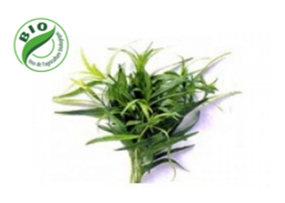 Image de Estragon