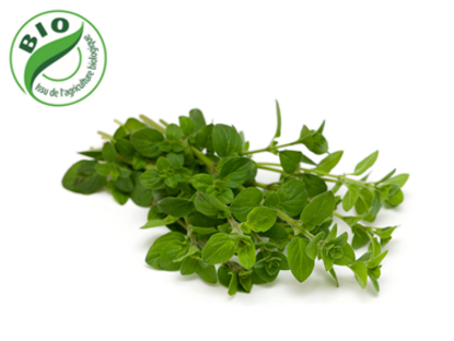 Image de Marjolaine - (100g)