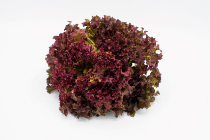 Image de Salade Rouge