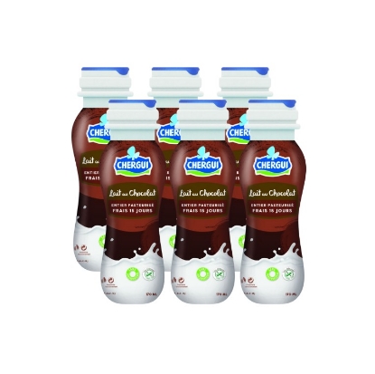 Image de Lait au chocolat - Pack (6 x 170 ml)